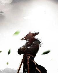 刀剑之风华绝代